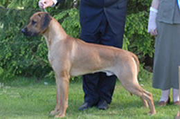 argos